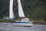 cantata ii 203 whyw17 thur gjmc 8196